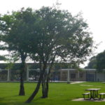 Windsor-Village-Community-Playground-Basketball-Court