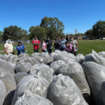 Windsor Village Park Cleanup