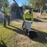 Windsor Village Park Cleanup