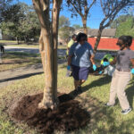 Windsor Village Park Cleanup